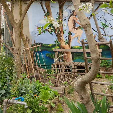 Bed & Breakfast Selvatica50