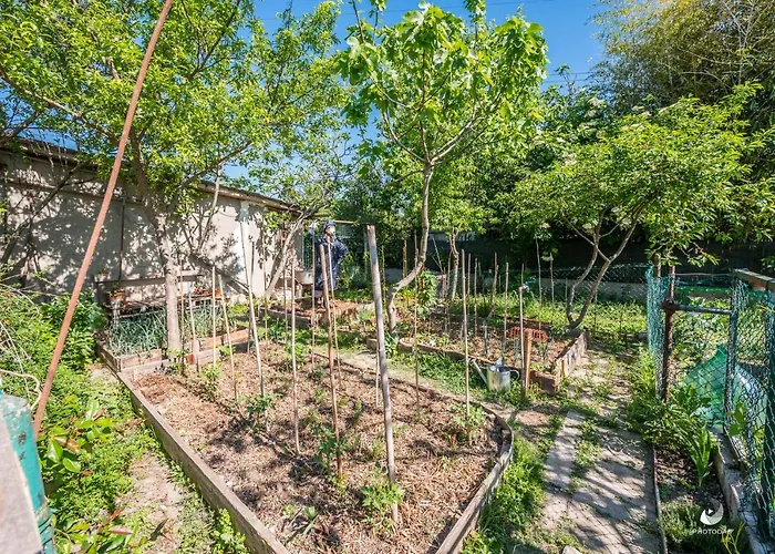 Selvatica50 Nonantola