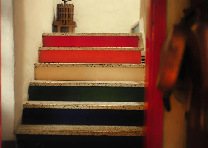 Selvatica50 Nonantola