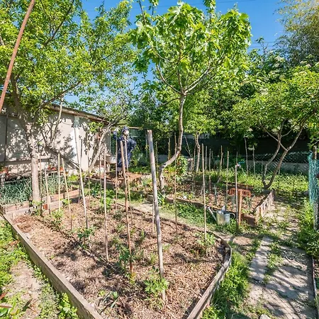 Selvatica50 Nonantola