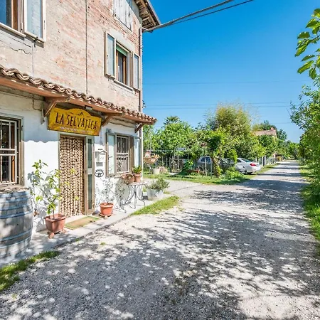 住宿加早餐酒店 Selvatica50