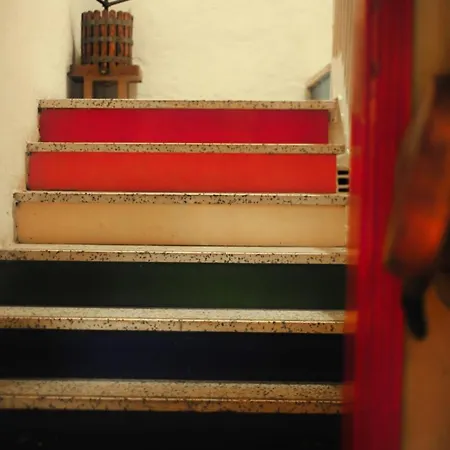 Selvatica50 Nonantola