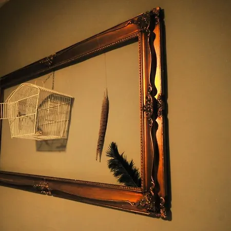 Selvatica50 3* Nonantola