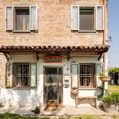 Selvatica50 Nonantola