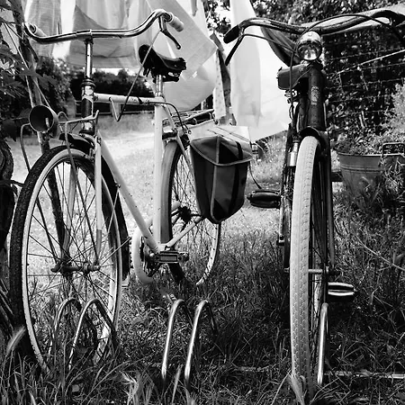 ベッド・アンド・ブレックファスト Selvatica50 3*