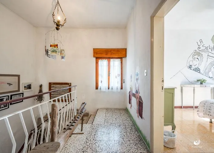 Selvatica50 Nonantola