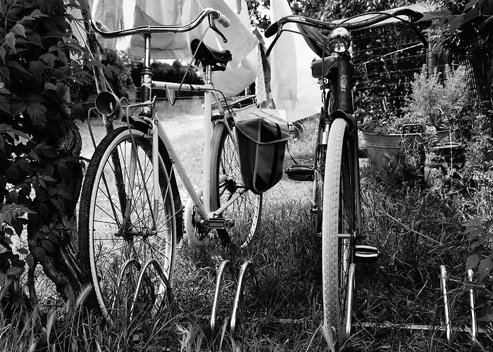 Couette-café Selvatica50 3*